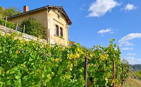 Ferienhaus und Straußwirtschaft im Weinberg